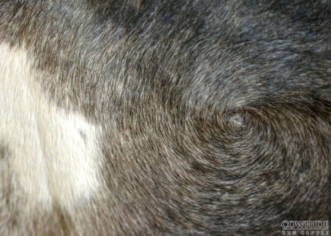 Zoom of the fur